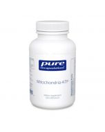 Mitochondria-ATP