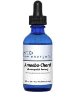 Energetix Amoeba-Chord