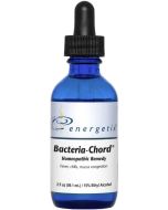 Energetix Bacteria-Chord